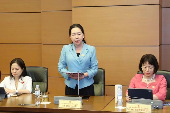  Phó Trưởng đoàn chuyên trách Đoàn ĐBQH tỉnh Gia Lai Lý Tiết Hạnh cho rằng cần có chính sách đủ sức hấp dẫn, tạo điều kiện thuận lợi để cộng đồng này tham gia đầu tư sản xuất, kinh doanh. Ảnh: Đoàn ĐBQH tỉnh Gia Lai 