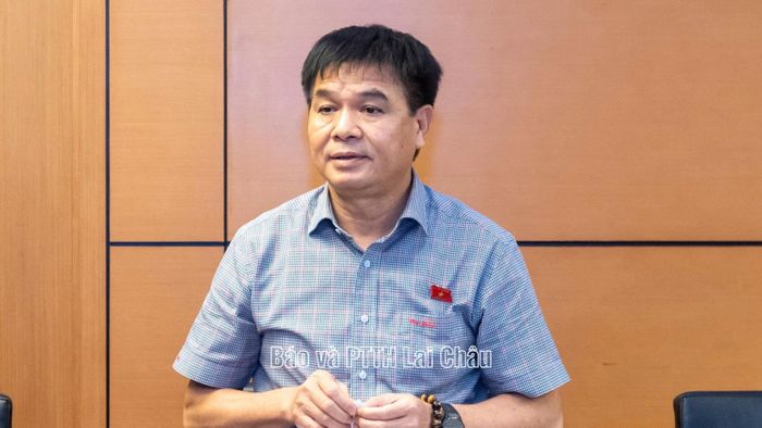 Đại biểu Nguyễn Hữu Toàn phát biểu thảo luận.