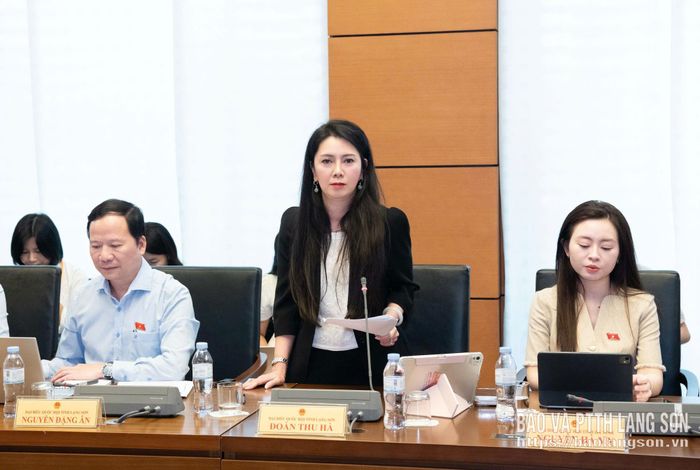 Đại biểu Đoàn Thu Hà, Phó Bí thư Tỉnh ủy, Trưởng Đoàn đại biểu Quốc hội tỉnh phát biểu thảo luận ở tổ