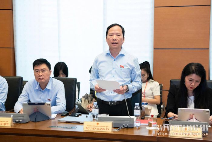 Đại biểu Nguyễn Đặng Ân, Phó Trưởng Đoàn đại biểu Quốc hội tỉnh phát biểu thảo luận ở tổ