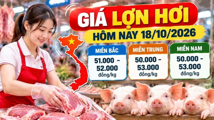 Hình minh họa.