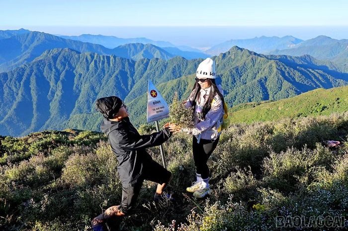 Khoảnh khắc đáng nhớ của du khách bên cột mốc đỉnh Tà Chì Nhù cao 2.979 m.
