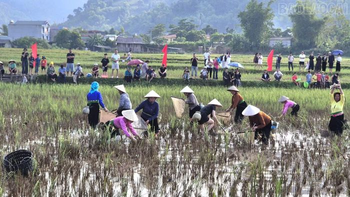 Được du khách và người dân nhiệt tình cổ vũ, các đội đều nỗ lực, quyết tâm giành chiến thắng, tạo nên không khí vô cùng sôi động, hấp dẫn.