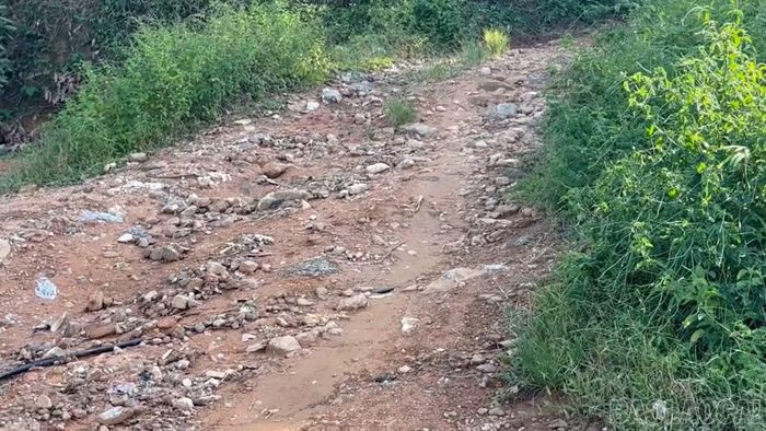 Thông qua hương ước, tuyến đường nội thôn Đầu Nhuần sẽ sớm được mở rộng và bê tông hóa nhờ việc người dân đồng tình hiến đất.