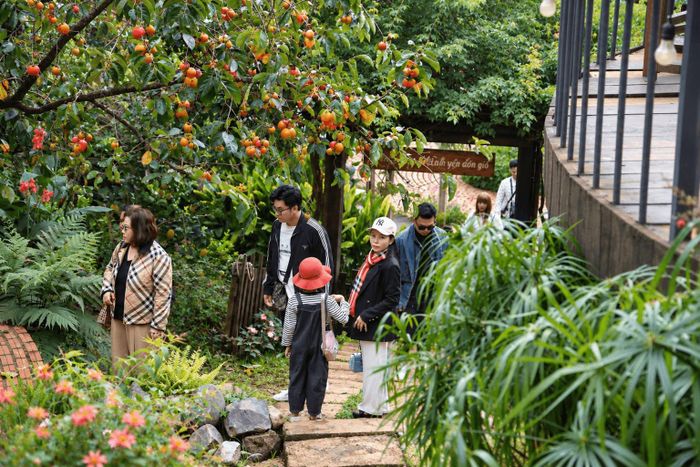 Du khách tham quan, trải nghiệm, chụp ảnh cùng vườn hồng tại phường Xuân Hương - Đà Lạt