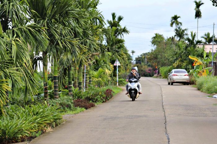Đường nông thôn xã Nam Ban Lâm Hà đẹp mắt với những hàng hoa, thảm cỏ và sự chăm chút bền bỉ của người dân