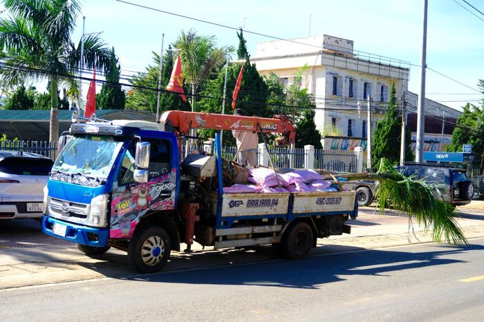 Xã Nam Ban Lâm Hà tổ chức trồng mới và chăm sóc hoa, cây xanh