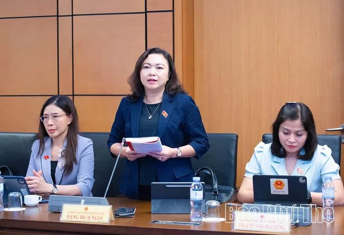 Đại biểu Quốc hội tỉnh Đặng Bích Ngọc tham gia thảo luận ở Tổ.