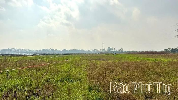 Diện tích đất nông nghiệp tại thôn Hạ Chuế, xã Vĩnh An đã được căng dây, quy chủ.
