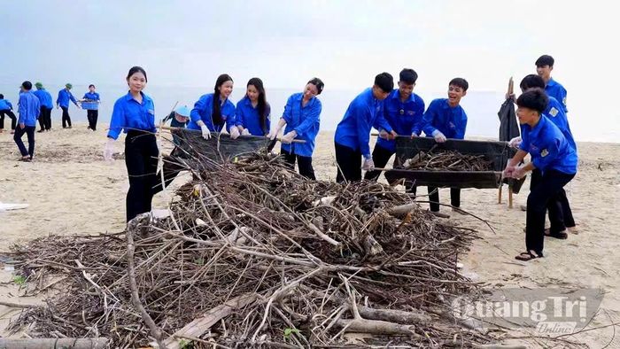 Tập kết, xử lý rác theo vị trí quy định - Ảnh: P.V