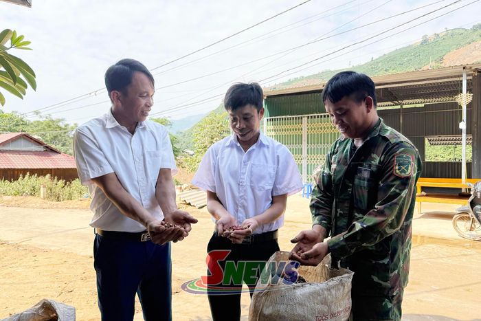 Nhân dân bản Mòn phấn khởi thu hoạch cà phê. 