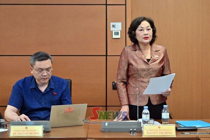 Đại biểu Nguyễn Thị Hồng - Phó Chủ tịch Quốc hội phát biểu
