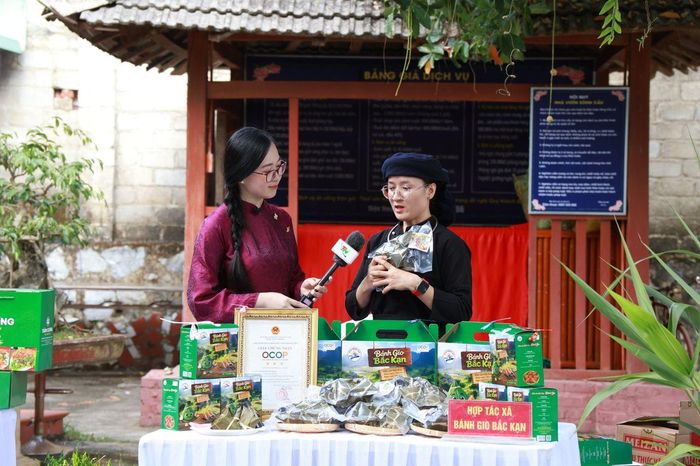 Các gian hàng trưng bày, giới thiệu sản phẩm