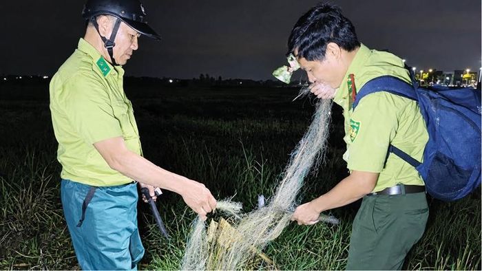 Lực lượng kiểm lâm xuyên đêm gỡ lưới bẫy chim trời. 