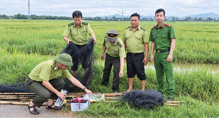  Tiêu hủy dụng cụ bẫy chim.