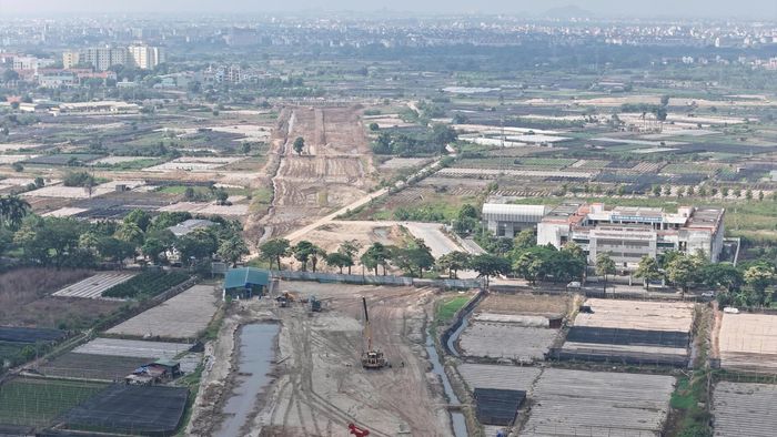 Trên đại công trường cầu Thượng Cát, hàng trăm công nhân miệt mài làm việc tại các mũi thi công, tạo nên nhịp lao động khẩn trương. Từ gia công cốt thép, đổ bê tông đến lắp dựng kết cấu, mỗi công đoạn đều được tổ chức chặt chẽ, đòi hỏi sự phối hợp nhịp nhàng giữa người lao động và đội ngũ kỹ thuật để bảo đảm chất lượng, tiến độ công trình.