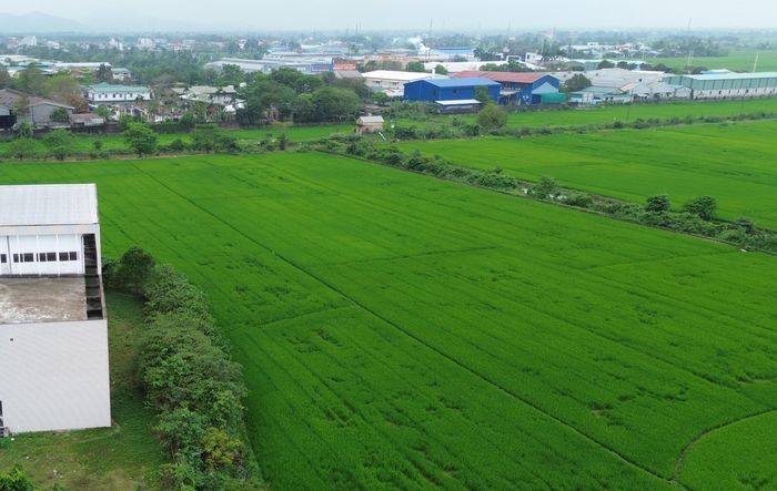 Khu vực Cụm công nghiệp An Hòa, TP Huế.