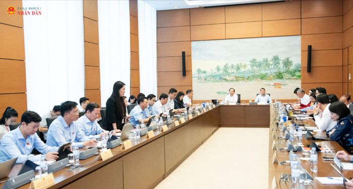 Toàn cảnh phiên thảo luận. Ảnh: Lâm Hiển