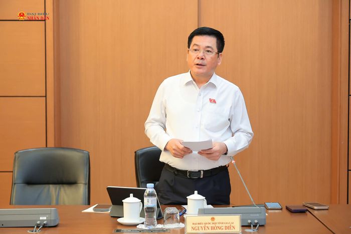 Phó Chủ tịch Quốc hội Nguyễn Hồng Diên phát biểu thảo luận tại tổ. Ảnh: An Nhiên