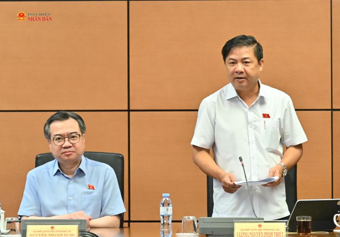 Trưởng đoàn ĐBQH tỉnh Đắk Lắk Lương Nguyễn Minh Triết, Tổ trưởng Tổ 14 phát biểu