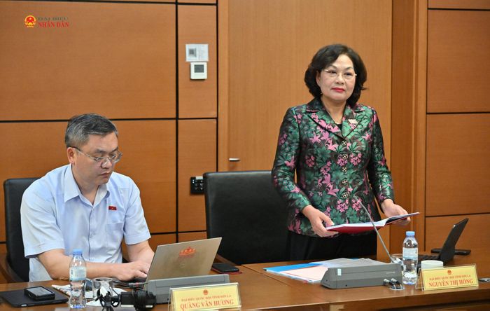 Phó Chủ tịch Quốc hội Nguyễn Thị Hồng phát biểu tại tổ. Ảnh: Quang Khánh