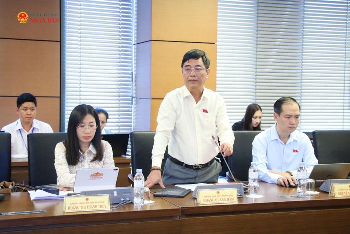 ĐBQH Hoàng Quang Hàm (Tây Ninh) phát biểu tại thảo luận tổ. Ảnh: Đắc Trường
