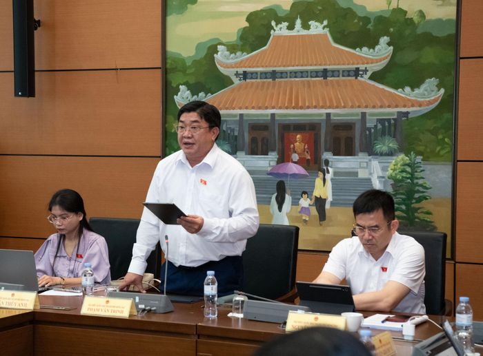 ĐBQH Phạm Văn Trinh (Đồng Nai) phát biểu Ảnh: Lâm Hiển