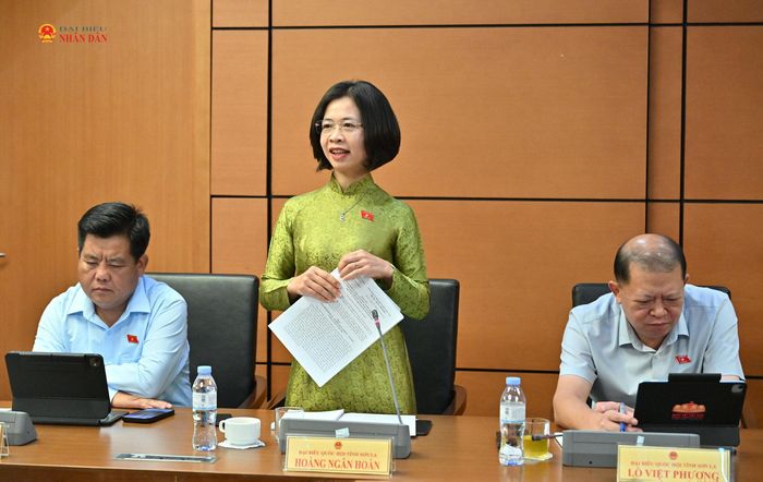 ĐBQH Hoàng Ngân Hoàn (Sơn La) phát biểu. Ảnh: Quang Khánh