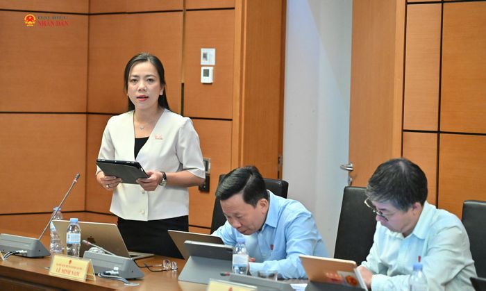 ĐBQH Triệu Thị Ngọc Diễm (TP. Cần Thơ) phát biểu. Ảnh: Quang Khánh