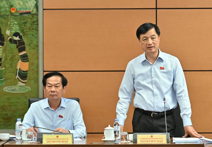 Trưởng ban Tổ chức Trung ương Nguyễn Duy Ngọc phát biểu tại tổ. Ảnh: Quang Khánh