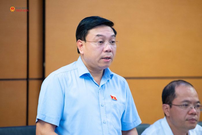 ĐBQH Nguyễn Văn Mạnh (Phú Thọ) phát biểu. Ảnh: Xuân Quý