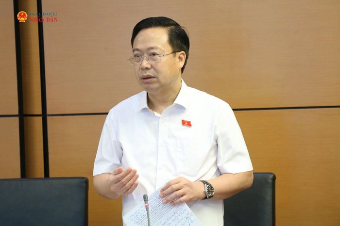 ĐBQH Nguyễn Đại Thắng (Hưng Yên) phát biểu. Ảnh: Đắc Trường