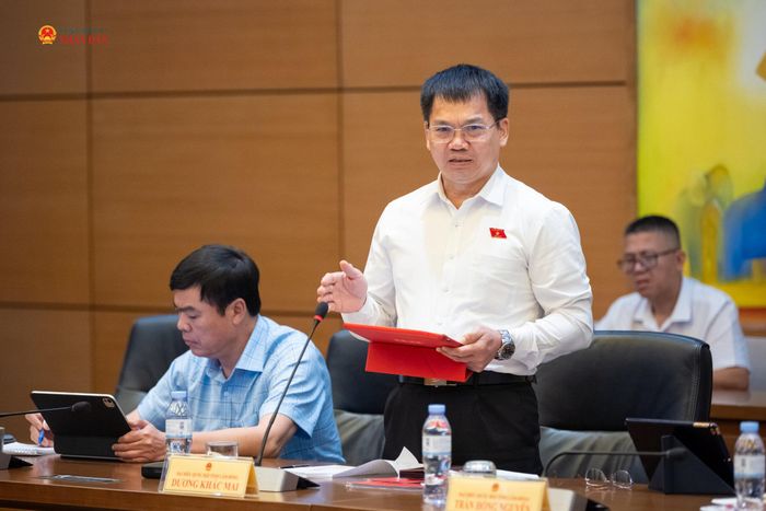 ĐBQH Dương Khắc Mai (Lâm Đồng) phát biểu thảo luận tại tổ. Ảnh: Phạm Thắng