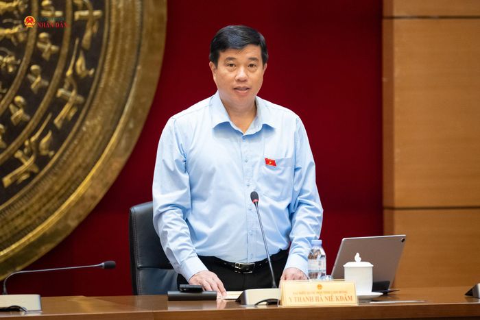 ĐBQH Y Thanh Hà Niê Kđăm (Lâm Đồng) phát biểu thảo luận tại tổ. Ảnh: Phạm Thắng
