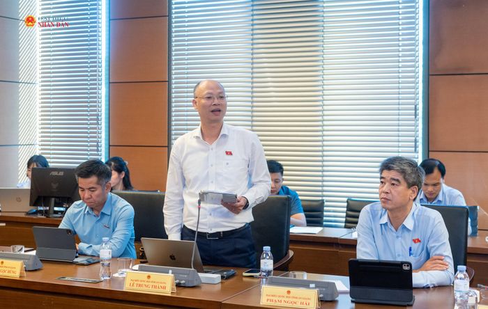 ĐBQH Lê Trung Thành (An Giang) phát biểu. Ảnh: Mạnh Hưng