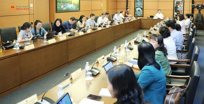 Toàn cảnh phiên thảo luận Tổ 10
