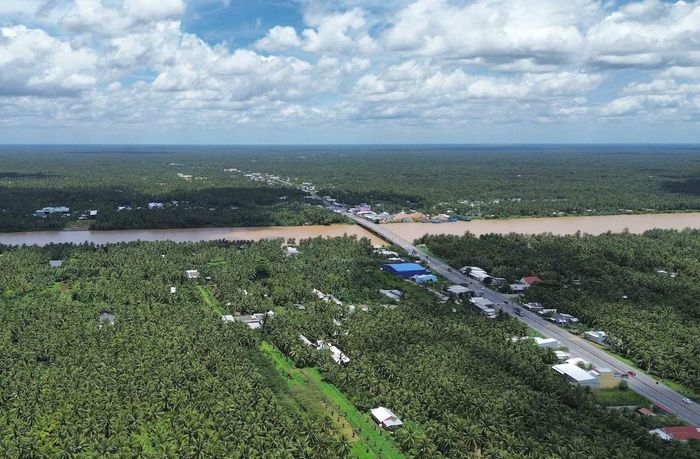 Vĩnh Long sở hữu khoảng 120.000 ha dừa, tương đương 50% diện tích dừa cả nước, tạo nền tảng hình thành “siêu vùng nguyên liệu” và nâng cao vai trò của địa phương trong cụm ngành dừa quốc gia.