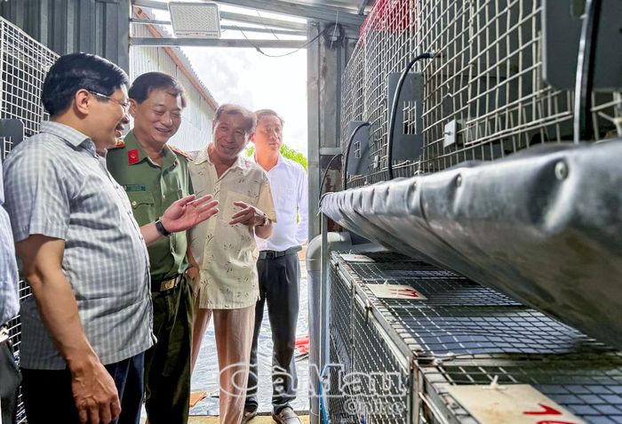 Phó Bí thư Thường trực Tỉnh uỷ Đặng Văn Dũng khảo sát mô hình nuôi chồn của hộ ông Trương Văn Thiên (ấp Khai Long, xã Đất Mũi).