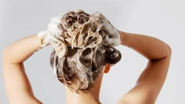 Không phải ai cũng cần gội đầu mỗi ngày