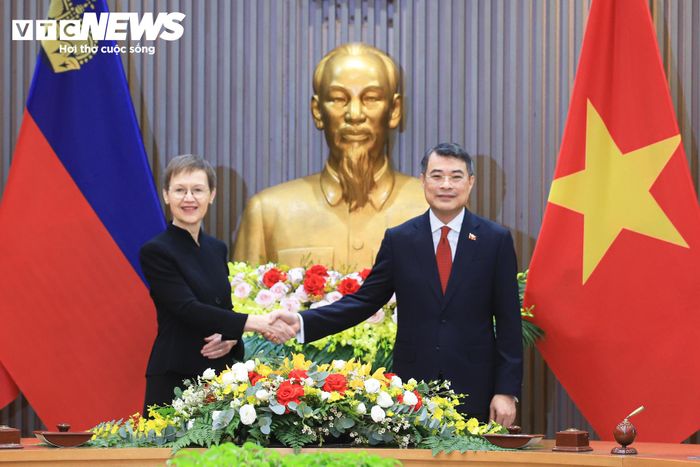Đây là chuyến thăm chính thức Việt Nam đầu tiên của bà Brigitte Haas trên cương vị Thủ tướng, đồng thời đánh dấu lần đầu tiên Việt Nam và Liechtenstein trao đổi đoàn cấp cao kể từ khi hai nước thiết lập quan hệ ngoại giao ngày 2/7/2008. Trước đó vào năm 2012, Hoàng tử Alfred, người đứng thứ 36 trong danh sách kế vị, đã đến thăm Việt Nam trên tư cách Chủ tịch Hội đồng tư vấn Quỹ Hòa bình quốc tế.