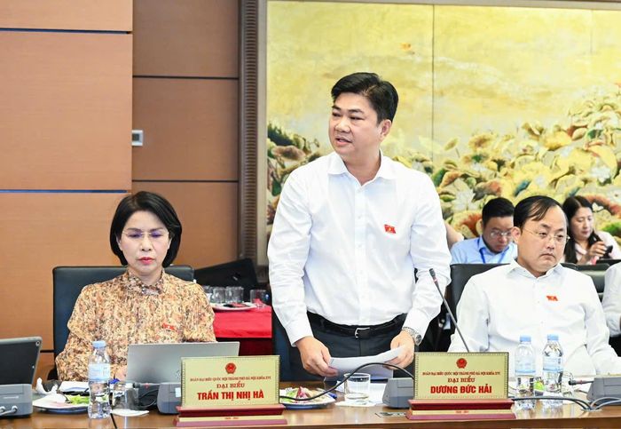 Đại biểu Dương Đức Hải phát biểu thảo luận. Ảnh: DL
