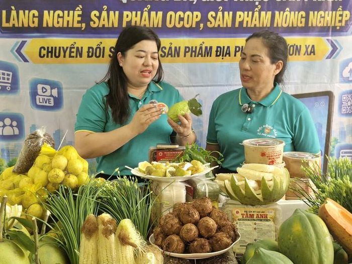 Tại các phiên livestream ở xã Phú Xuyên, sản phẩm nông sản được giới thiệu một cách sinh động, gần gũi với người xem, tạo thuận lợi để mọi người lựa chọn chốt đơn hàng. Ảnh: PV
