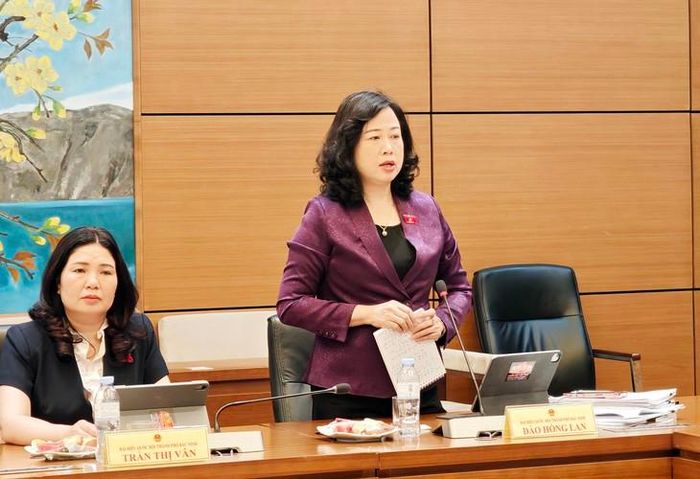 Bộ trưởng Bộ Y tế Đào Hồng Lan phát biểu tại phiên thảo luận Tổ. Ảnh: Lê Bảo