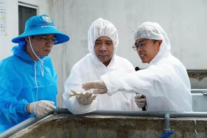 Các đại biểu tham quan khu nuôi tôm. Ảnh: M.H