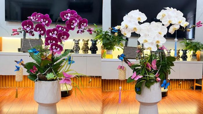 Chị Son mua 2 chậu lan với giá 1,1 triệu đồng/chậu làm quà dịp 20/10. Ảnh: Quỳnh Mai. 
