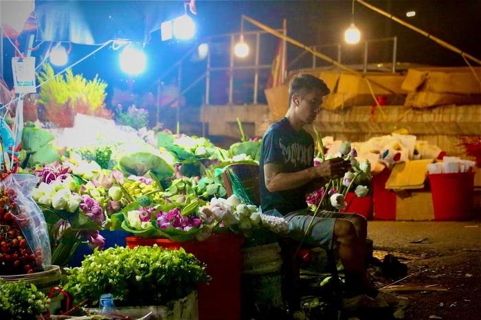 Người tiểu thương lặng lẽ ngồi bó từng búp sen trắng, sen hồng gợi nét đặc trưng dịu dàng của Hà Nội