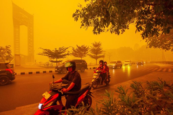 Cháy rừng và khói mù khiến bầu trời ở Palangkaraya, Trung Kalimantan (Indonesia) chuyển thành màu cam. Ảnh: EPA.