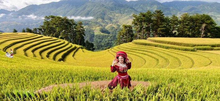 Mùa lúa chín có thể trở thành một thương hiệu du lịch mùa thu của Việt Nam nếu được tổ chức bài bản hơn. Ảnh: Thanh Tâm