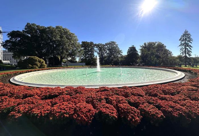 Đài phun nước tại bãi cỏ phía Nam (South Lawn) trong khuôn viên Nhà Trắng, được bao quanh bởi những thảm hoa đại cúc màu đỏ cam
