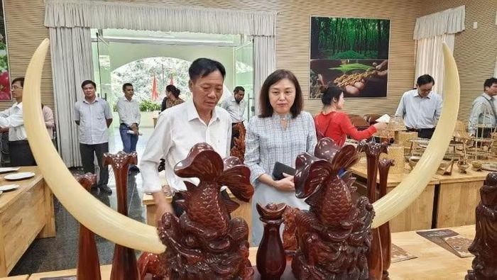 Khách tham quan các sản phẩm thủ công mỹ nghệ trưng bày tại Thành phố Hồ Chí Minh. (Ảnh: CTV)
